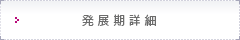 発展期詳細