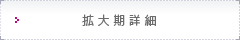 拡大期詳細