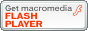 macromedia Flash Player plug-in