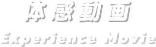 体感動画